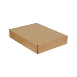 Versandkarton 395x310x65 mm Braun