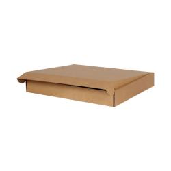 Versandkarton 770x540x80 mm Braun