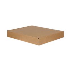 Versandkarton 770x540x80 mm Braun