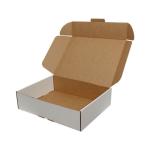 400x300x100 mm Fertig Verschlossene Box Weiß