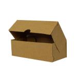 170x80x55 mm E-Commerce Versandkarton Kraft 4 Punkt Box