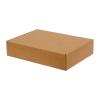 300x200x50 mm Kraftkarton-Box Mit Schloss