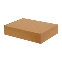 300x200x50 mm Kraftkarton-Box Mit Schloss