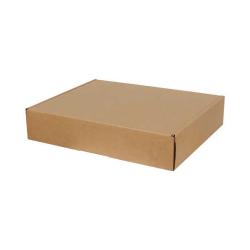 390x220x80 mm Box Kraft Doppelt Gewelltes Ziplock