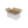 100x60x50 mm Paket Weißer Karton Einzeln Wellpappe