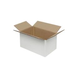 100x60x50 mm Paket Weißer Karton Einzeln Wellpappe