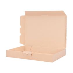 Maxibriefkarton 300x250x50 mm Braun Warenpost National