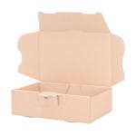Maxibriefkarton 160x110x50 mm Braun DIN A6