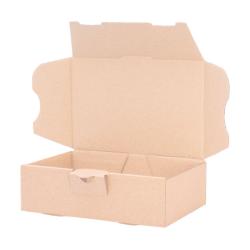 Maxibriefkarton 160x110x50 mm Braun DIN A6
