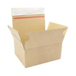 Karton mit Automatikboden 160x130x70 mm DHL Kleinpaket