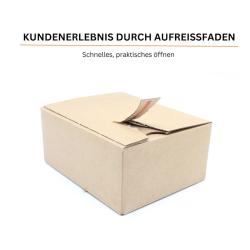 Karton mit Automatikboden 160x130x70 mm DHL Kleinpaket