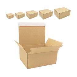 Karton mit Automatikboden 210x180x130 mm