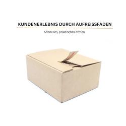 Karton mit Automatikboden 213x153x109 mm