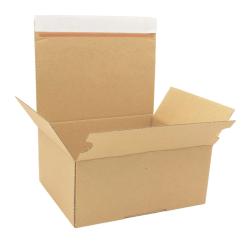 Karton mit Automatikboden 229x164x55-115 mm höhenvariabel