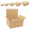 Karton mit Automatikboden 305x216x130-220 mm höhenvariabel