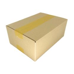 Faltkarton 250x175x100 mm