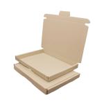 Großbriefkarton 245x185x20 mm BRAUN GB 2.1