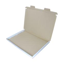  Großbriefkarton 350x250x20 mm WEISS GB3