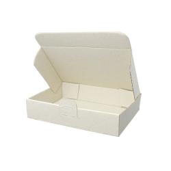 Graskarton Maxibrief 240x160x50 mm MB3