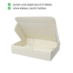 Graskarton Maxibrief 240x160x50 mm MB3