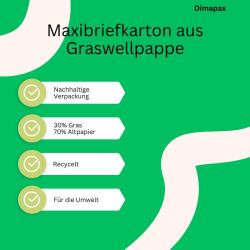 Graskarton Maxibrief 240x160x50 mm MB3