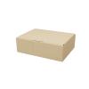 Maxibriefkarton 180x130x50 mm BRAUN MB-2