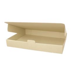 Maxibriefkarton 260x180x50 mm BRAUN MB-4