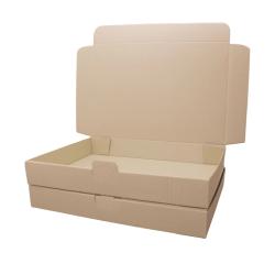 Maxibriefkarton 350x250x50 mm BRAUN MB-6