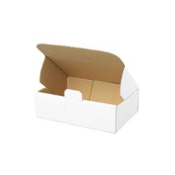 Maxibriefkarton 160x110x50 mm WEIß MB-1