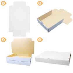 Maxibriefkarton 240 x160x50 mm WEIß MB-3